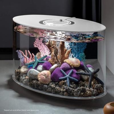 BiOrb zeester set 3 blauw aquarium decoratie BiOrb zeester set 3 blauw aquarium decoratie