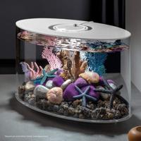 BiOrb zeester set 3 blauw aquarium decoratie - thumbnail