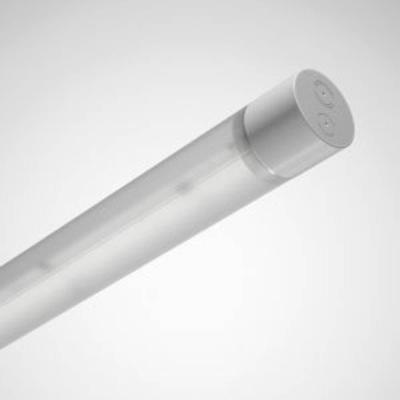 Trilux 7981540 LED-lamp voor vochtige ruimte LED LED 60 W Wit Grijs