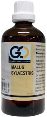GO Malus sylvestris bio 100 Milliliter