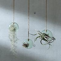 L.S.A. Canopy Plantenhanger ø 10 cm - thumbnail