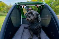 Burley Kard bur achterlicht my23 - thumbnail