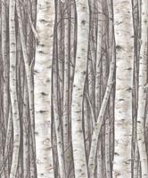 Marburg Timber Behang met berkenbomen - 35394 - thumbnail