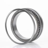 INA sl024916 cilindrische scooter Bearing, dubbele rij, float, normale clearance, open einde, oliegat, metrisch, 80 mm ID, 110 mm OD, breedte 30 mm, maximaal toerental 3400 tpm, statische draagkracht, - thumbnail