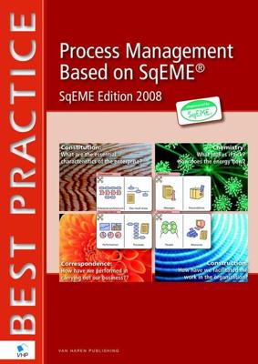 Process Management Based on SqEME® - 2008 - - ebook