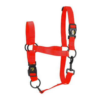 Excellent Horse Essential Halster L Cob Rood