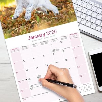 Engelse Setter Kalender 2026 Engelse Setter Kalender 2026
