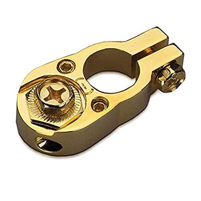 Sinuslive BK 1- Accupoolklem Minpool Verguld 1 stuk(s) Sinuslive BK 1- Accupoolklem Minpool Verguld 1 stuk(s)