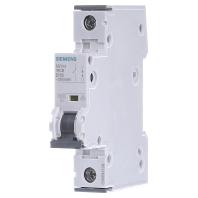 Siemens 5SY41106 5SY4110-6 Zekeringautomaat 10 A - thumbnail