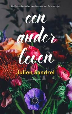 Een ander leven - Julien Sandrel - eBook (9789403179209)