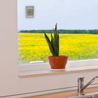 TFA Dostmann Digitales Fensterthermometer WINDOO 30.1067.15 Raamthermometer Grijs - thumbnail