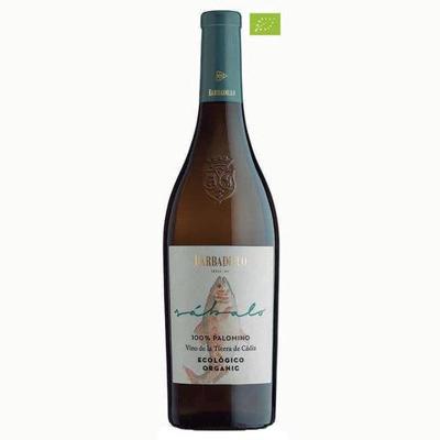 Vino Blanco Ecologico Sabalo 2022 - Palomino - 75CL - 11,5% Vol.