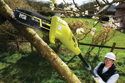 Ryobi RPP755E | 750W 25cm Telescopische Snoeikettingzaag - 5133002321 - 5133002321