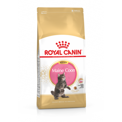 Royal Canin Kitten Maine Coon kattenvoer 4 kg