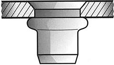 Gesipa Blindklinkmoer | klinknagelschacht d x l 9 x 17 mm M6 | aluminium verzinkkop (90graden) | 250 stuks - 1455350 1455350 Gesipa Blindklinkmoer | klinknagelschacht d x l 9 x 17 mm M6 | aluminium verzinkkop (90graden) | 250 stuks - 1455350 1455350