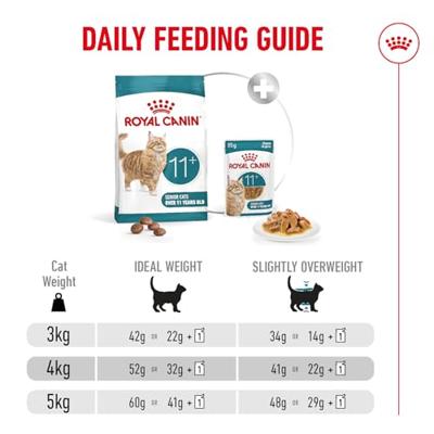 ROYAL CANIN Ageing 11+ Sterilised - droog kattenvoer - 4kg