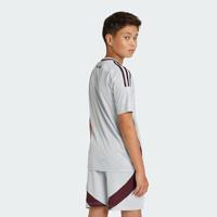 Ajax Shirt 3rd Junior 2024/2025 - Maat 128 - Kleur: RoodGrijs | Soccerfanshop - thumbnail
