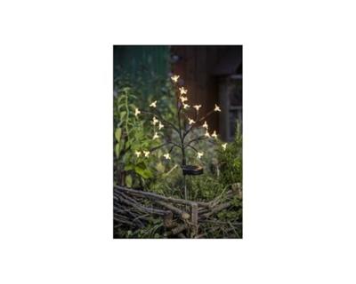 Arbusto a fioritura solare - GALIX - G4505 - H72