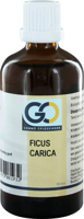 GO Gemmo Oplossingen Ficus Carica Bio Tinctuur - thumbnail
