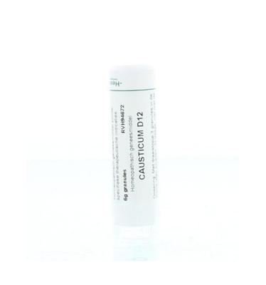 Homeoden Heel Causticum D12 6 Gram