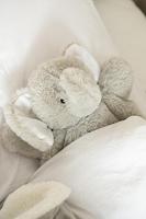 J-Line Plaid Olifant - babydekentje - pluche - grijs - 24 x 23 cm - thumbnail