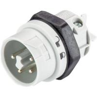 Wieland Electric 46.052.5054.0 Ronde connector Stekker, inbouw Totaal aantal polen: 4 + PE Serie (ronde connectoren): RST® MINI 1 stuk(s) - thumbnail