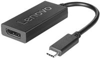 Adapter USB C naar DisplayPort Lenovo 4X90Q93303 - thumbnail