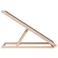 VidaXL Hondenloopplank 100x40 cm massief vurenhout grijs - thumbnail