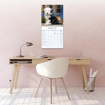 Old English Sheepdog Kalender 2026