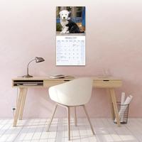 Old English Sheepdog Kalender 2026 - thumbnail