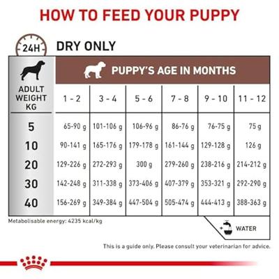 ROYAL CANIN Dog Gastrointestinal Puppy VHN - droog hondenvoer - 1kg - thumbnail