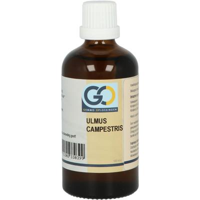 GO Ulmus campestris bio 100 Milliliter