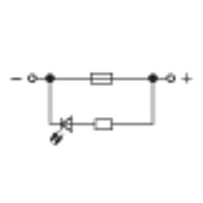 WAGO 2006-1681/1000-413 Zekeringklem 7.50 mm Spanveer Toewijzing: L Grijs 1 stuk(s)