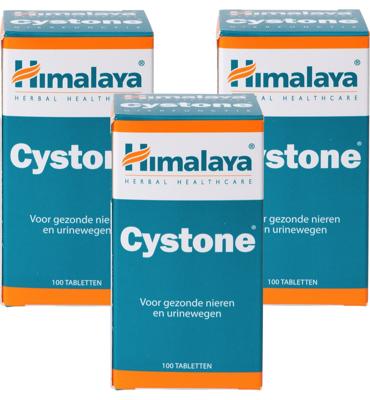 Himalaya Herbals Cystone Tabletten 100st