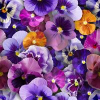 Wicotex tafelkleed violin love 140x250 cm - thumbnail