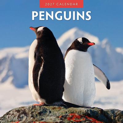 Pinguin Kalender 2027 Pinguin Kalender 2027