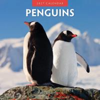 Pinguin Kalender 2027 - thumbnail