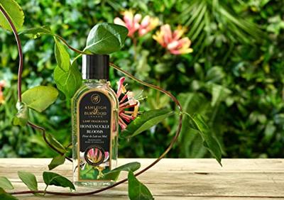 Honeysuckle Blooms Geurlamp olie L Ashleigh & Burwood - Ashleigh and burwood Honeysuckle Blooms Geurlamp olie L Ashleigh & Burwood - Ashleigh and burwood
