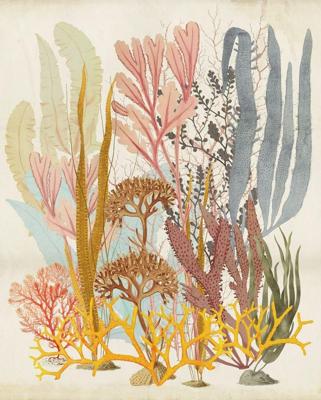Komar Infinity 2 Fotobehang Catchy Corals - IF2-028