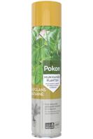 Bladglans 600 ml Pokon - Pokon - thumbnail