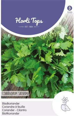 Zaden Koriander fijnzadig traagschietend Hortitops - Hortitops