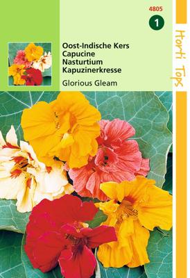 Zaden Tropaeolum Oost-Indische Kers Glorious Gleam Hortitops - Hortitops