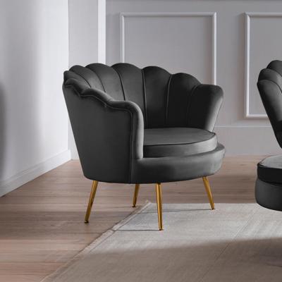 Artistiq Fauteuil 'Lizzy', Velvet, kleur Zwart