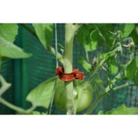 6 stuks! Tomato Clips / Clips a tomates 20 X Royal Well - Royal well - thumbnail