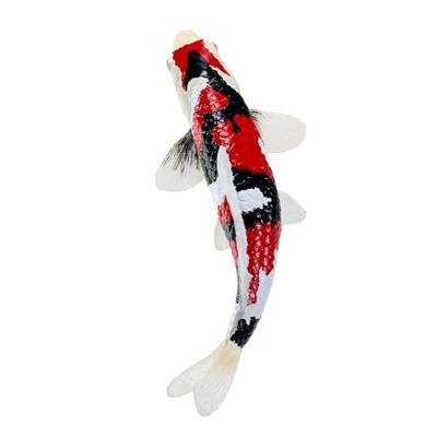 Mojo sealife koi karper - showa sanshoku koi - 381103