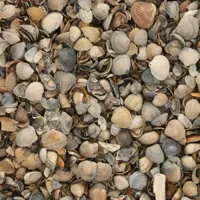 Excluton 17 ltr Schelpen 8-16mm - thumbnail