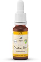 Lemon Pharma Bach NO.7 Chestnut Bud - thumbnail