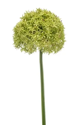 Emerald kunsttak allium 90cm groen