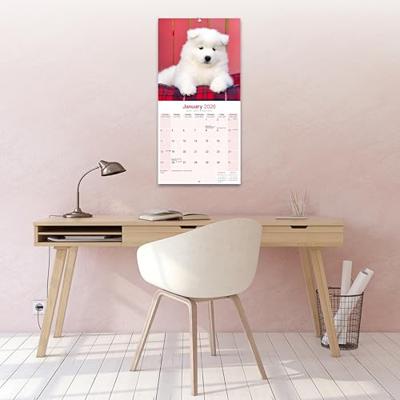 Samojeed Kalender 2026