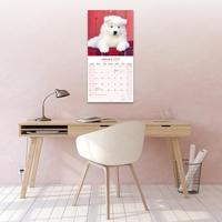 Samojeed Kalender 2026 - thumbnail